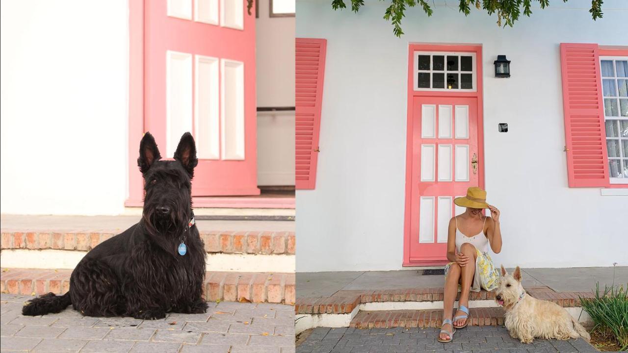 Drostdy Hotel Graaff Reinet Exterior photo Scottie dogs